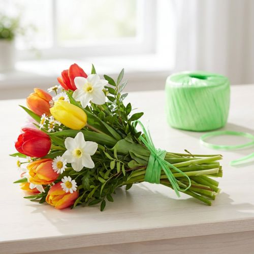Ficelle raphia artificiel vert clair Ficelle jardinier 5mm 400m | Floristik24.be