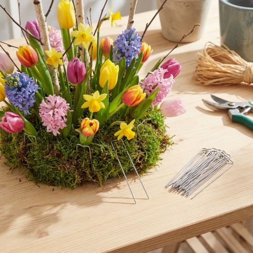 Article Aiguilles végétales brevetées 17/80 de 2,5 kg pour la fixation dans les compositions florales