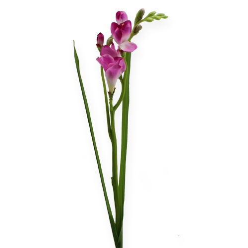 Floristik24 Art Fleur Fresien 56cm 3pcs