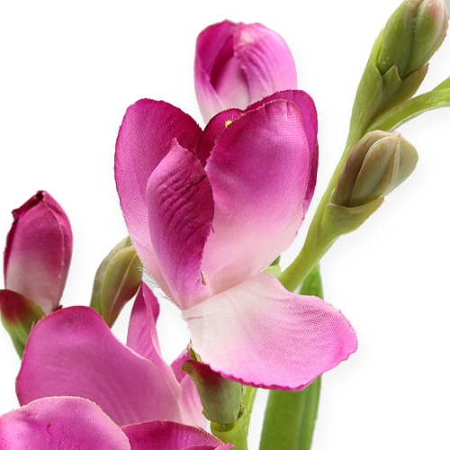 Floristik24 Art Fleur Fresien 56cm 3pcs
