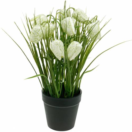 Floristik24 Fritillaria en pot, fleur en damier vert et blanc, fleur artificielle