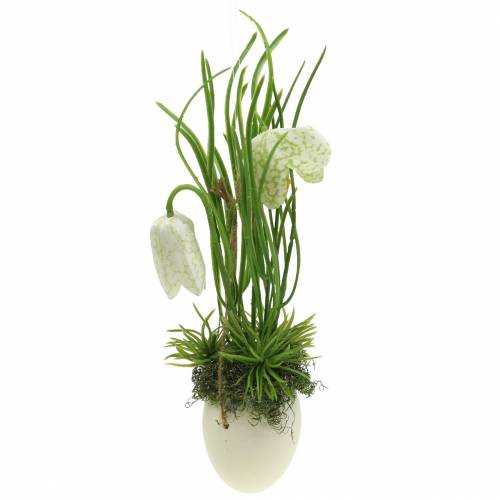 Floristik24 Fritilaria dans la coquille d'oeuf à suspendre vert, blanc 25cm