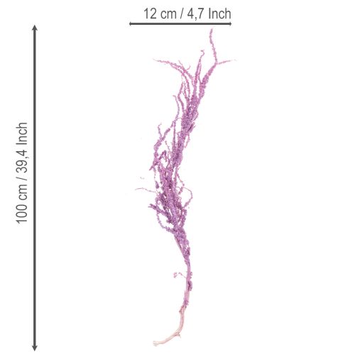 Article Fleurs séchées de queue de renard, teintées, pour décoration intérieure moderne, 100 cm, lot de 5
