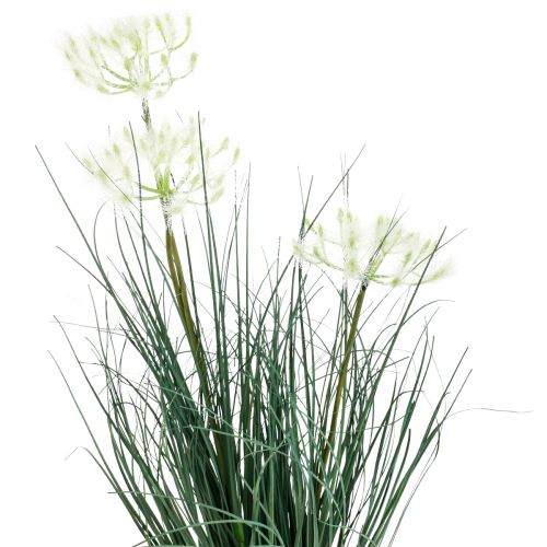 Floristik24 Fleur artificielle d'herbe de scirpe Fleurs artificielles dans un pot 56cm