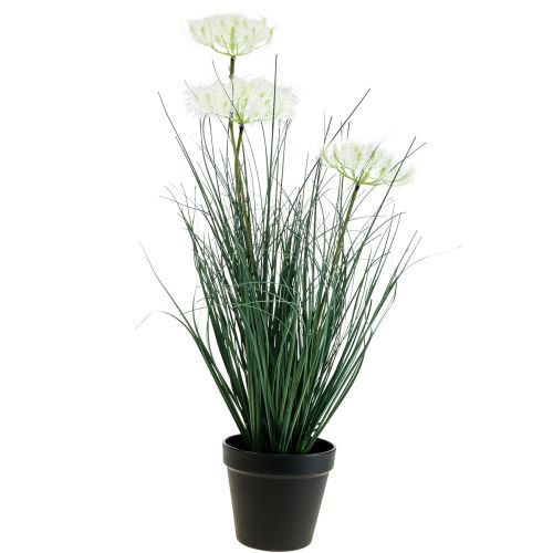 Floristik24 Fleur artificielle d'herbe de scirpe Fleurs artificielles dans un pot 56cm