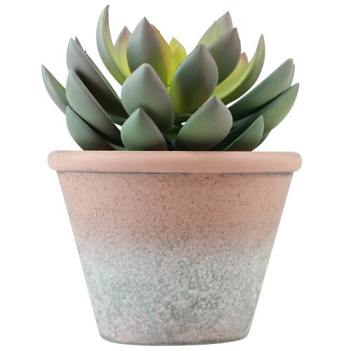 Floristik24 Plante succulente en pot Echeveria artificielle vert vintage Ø15cm H16cm