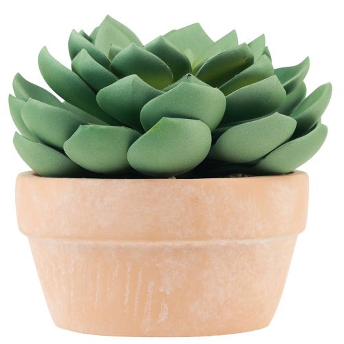 Plante succulente en pot Echeveria vert artificiel Ø15cm