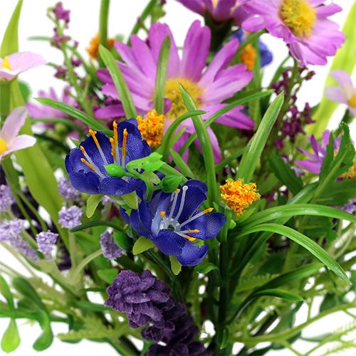 Floristik24 Bouquet de pâquerettes fuchsia avec lavande 24 cm