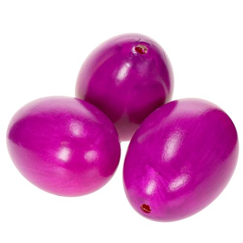 Floristik24 Des œufs d'oie vidés pour les décorations de Pâques – parfaits pour une décoration printanière créative.