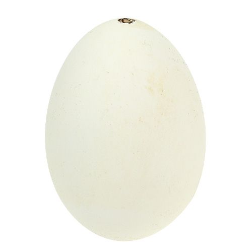 Floristik24 Oeufs d&#39;oie blancs 7cm - 8cm 6pcs