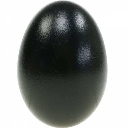 Article Œufs d'oie noirs soufflés, décoration de Pâques, 10 pièces