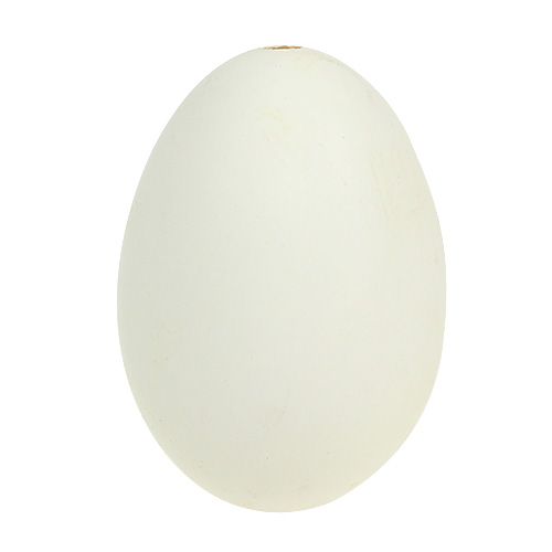 Floristik24 Oeufs d&#39;Oie Blanc 7cm 4pcs