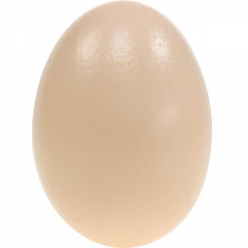Floristik24 Oeufs d'oie oeufs soufflés à la crème décoration de Pâques 12 pcs