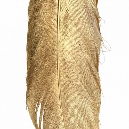 Floristik24 Plumes dorées pour artisanat 16-18cm 12pcs