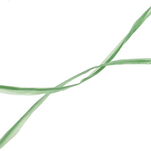 Article Raphia de jardinage Raphia synthétique vert Filet de 500g