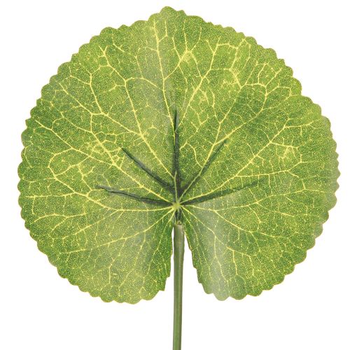Article Feuilles artificielles Galax Urceolata vertes Ø10cm L23cm 12 pcs