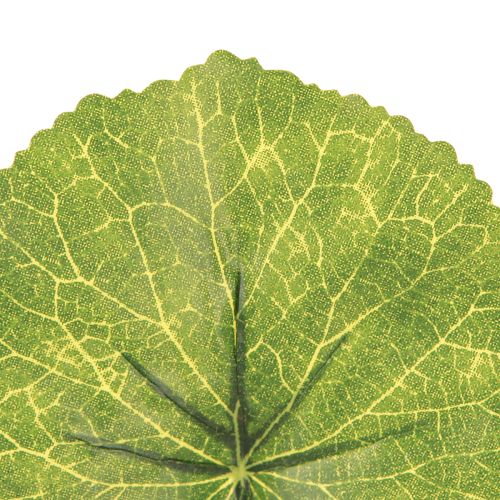 Article Feuilles artificielles Galax Urceolata vertes Ø10cm L23cm 12 pcs