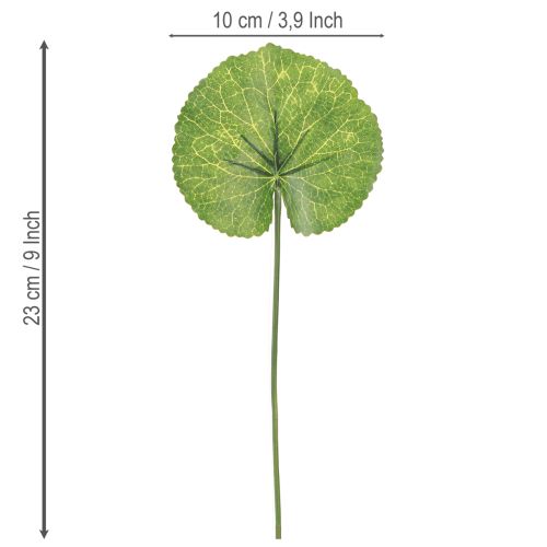 Article Feuilles artificielles Galax Urceolata vertes Ø10cm L23cm 12 pcs