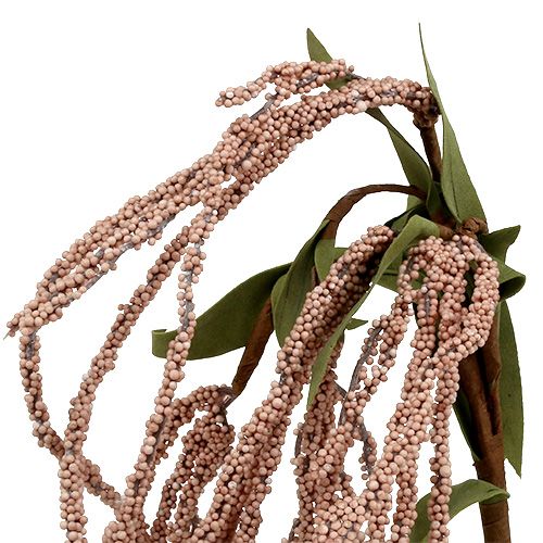 Floristik24 Sétaire des jardins 95cm