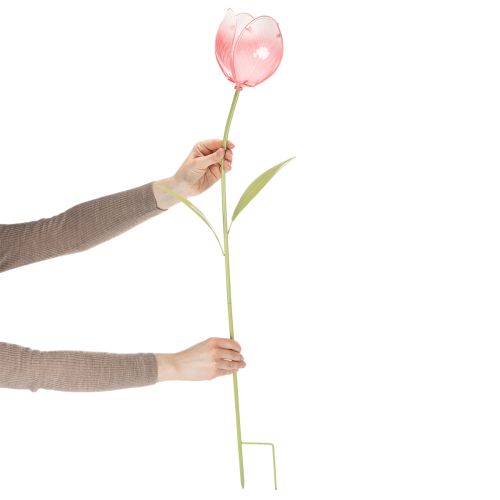 Tulipe décorative à tuteurer pour massifs et bordures, 94 cm | Floristik24.be