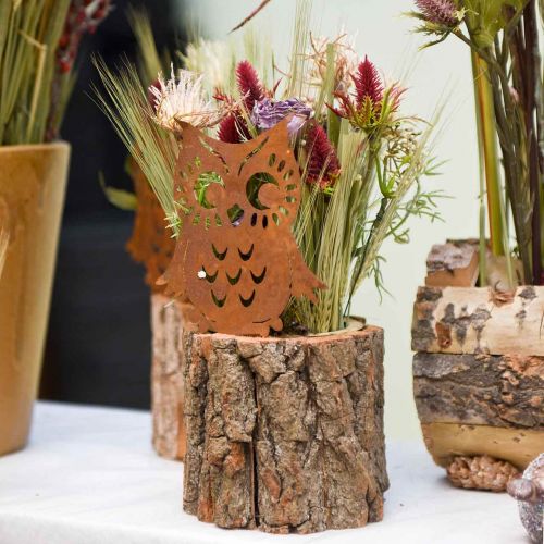 Floristik24 Piquets de jardin chouette patine, automne, décoration métal H32cm 6pcs