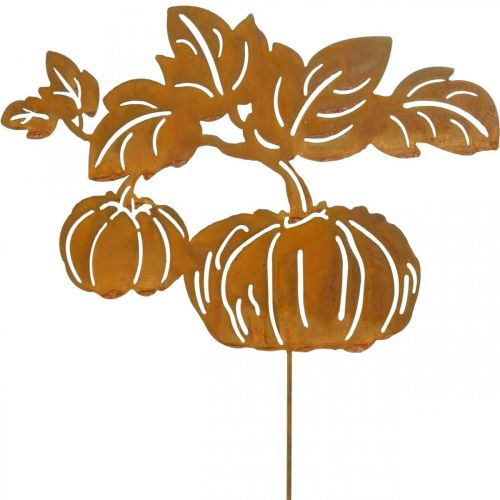 Floristik24 Piquet de Jardin Citrouille Rouille Décoration de Jardin Automne Métal 57cm