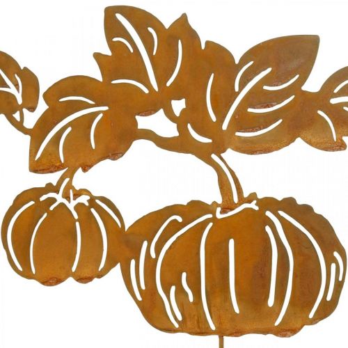 Floristik24 Piquet de Jardin Citrouille Rouille Décoration de Jardin Automne Métal 57cm