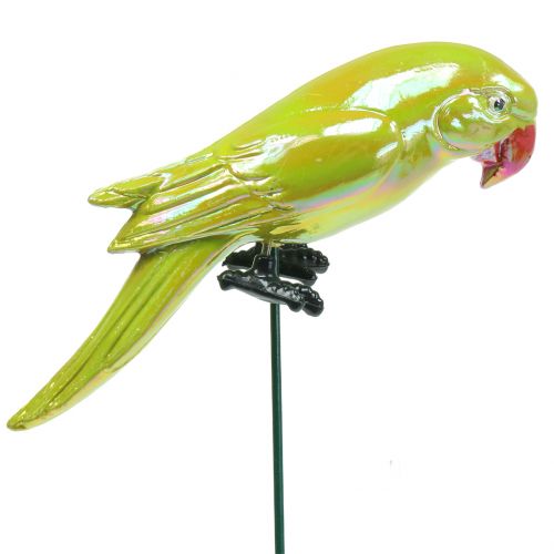 Floristik24 Bouchon de jardin perroquet jaune 16cm