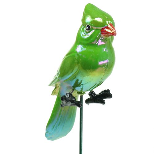 Floristik24 Bouchon de jardin perroquet 16cm vert