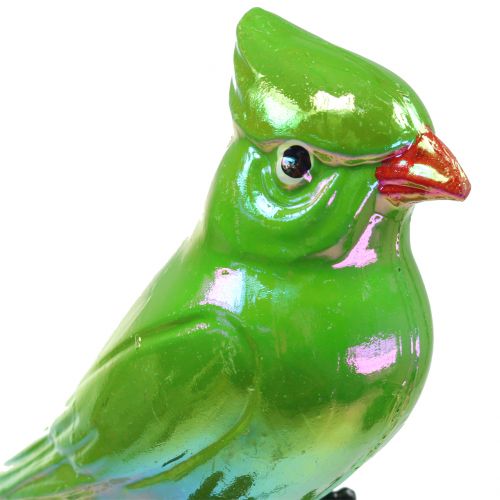 Floristik24 Bouchon de jardin perroquet 16cm vert
