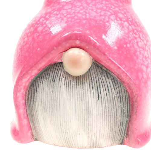 Floristik24 Nain de Jardin Nain Rose 20cm
