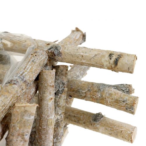 Floristik24 Branches de bouleau blanchies à la chaux 28cm x 28cm H10cm