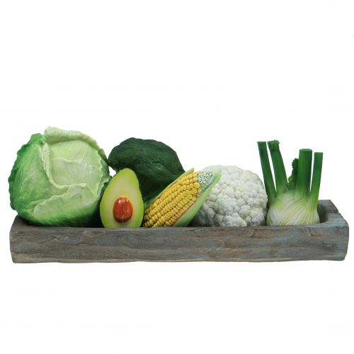 Floristik24 Chou blanc Ø16cm