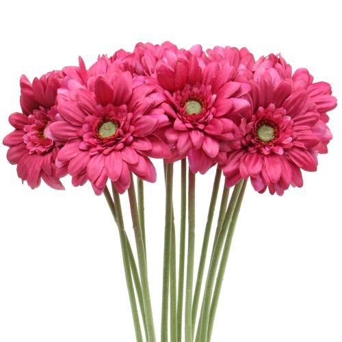 Floristik24 Gerbera Rose 48cm 12pcs