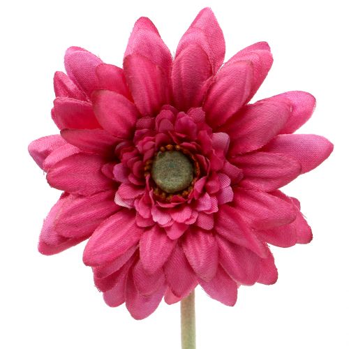 Floristik24 Gerbera Rose 48cm 12pcs