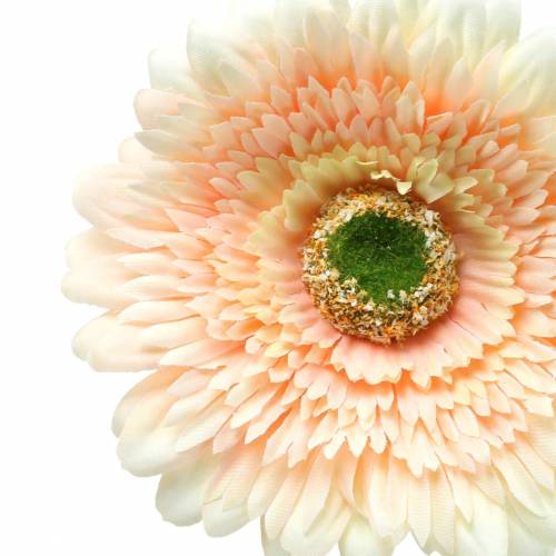 Floristik24 Gerbera pêche artificielle 62cm 6pcs