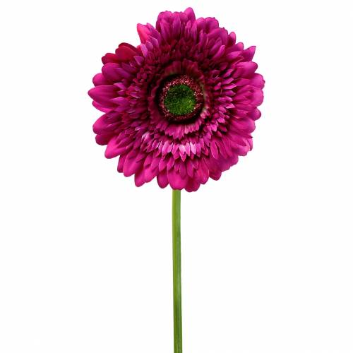 Floristik24 Gerbera violet artificiel 62cm 6pcs
