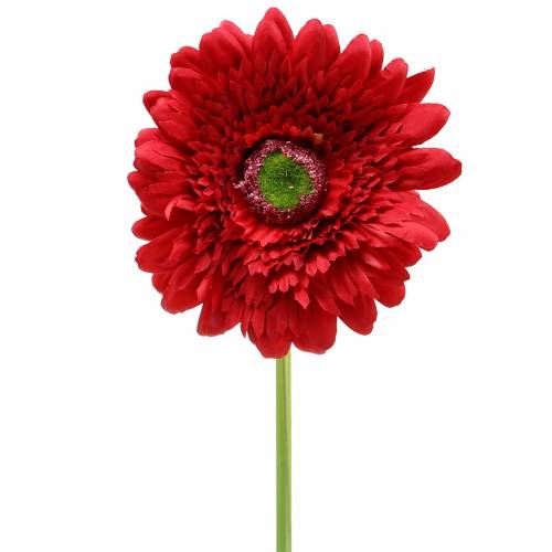 Floristik24 Gerbera rouge artificiel 62cm 6pcs