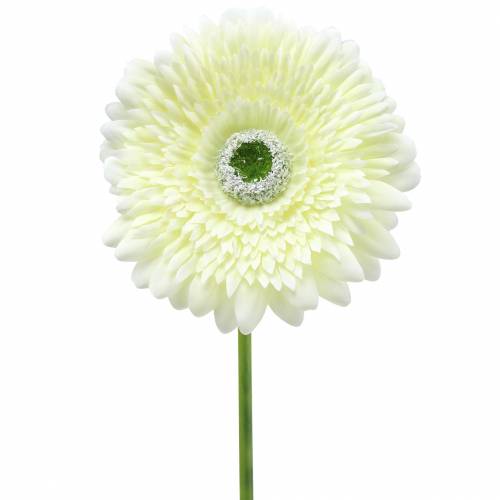 Floristik24 Gerbera artificiel blanc 62cm 6pcs