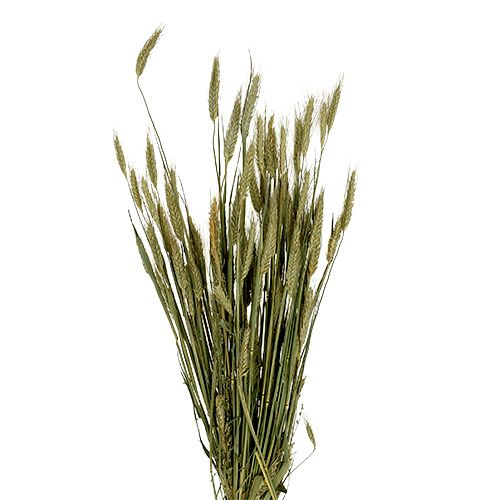 Article Décoration de grains d&#39;orge décoration sèche naturelle bouquet de 80 cm 1 pièce