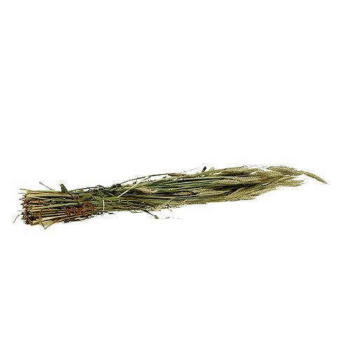 Article Décoration de grains d&#39;orge décoration sèche naturelle bouquet de 80 cm 1 pièce