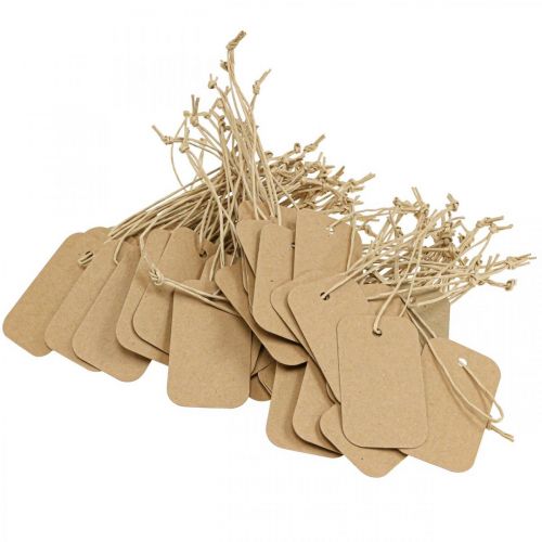 Floristik24 Étiquettes cadeaux étiquettes nature papier 3,5x6cm 100 pcs