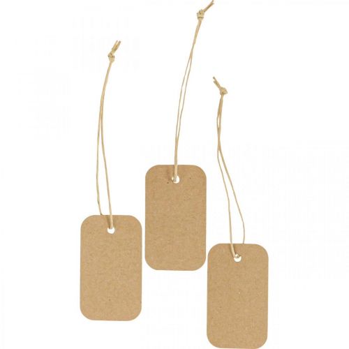 Floristik24 Étiquettes cadeaux étiquettes nature papier 3,5x6cm 100 pcs