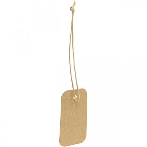 Floristik24 Étiquettes cadeaux étiquettes nature papier 3,5x6cm 100 pcs