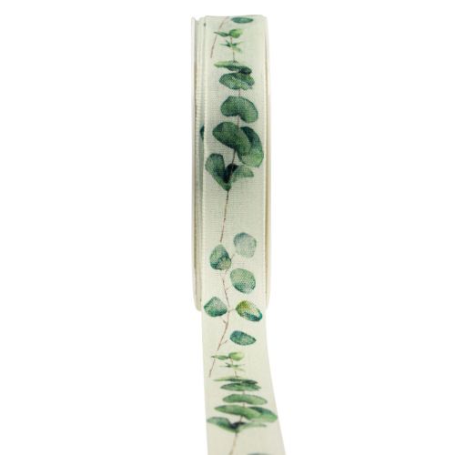 Floristik24 Ruban cadeau ruban décoratif eucalyptus vert 25mm 20m