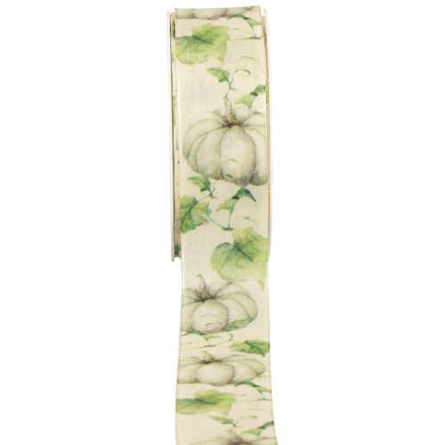 Floristik24 Ruban cadeau ruban citrouille automne vert 40mm 15m