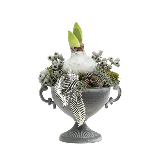 Floristik24 Fruits d’eucalyptus cirés blancs 250 g