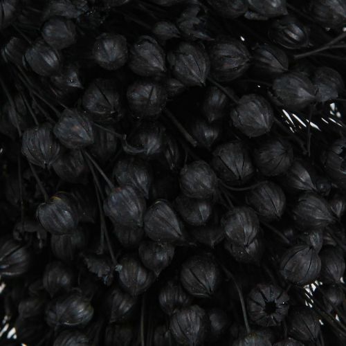 Floristik24 Couronne de lin séchée fleurs séchées noir Ø25cm