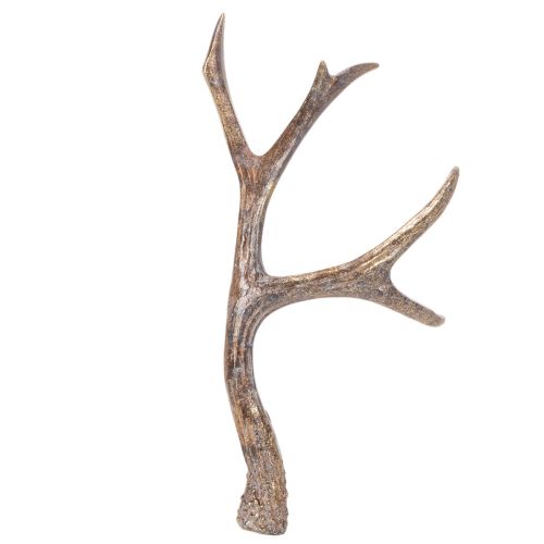 Bois de cerf décoratifs