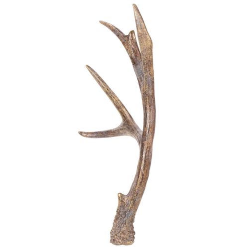 Bois de cerf décoratifs